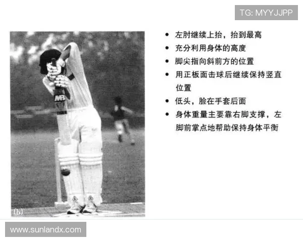 板球入门:投球、击球与防守核心规则详解